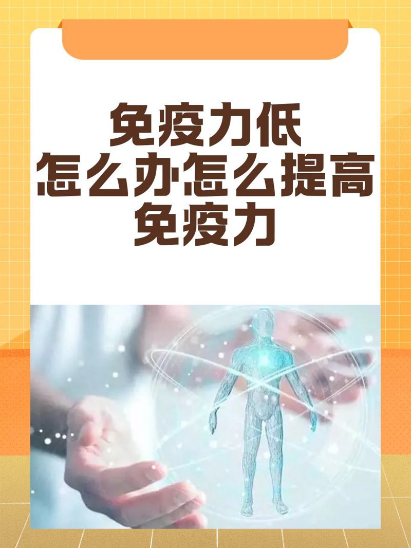 你是否曾在面试中被问及：“你的健康管理师证可以在哪里查询？”这样的问题让你感到困惑？别担心，本文将通过具体案例，为你详细解析如何验证健康管理师证书的有效性。