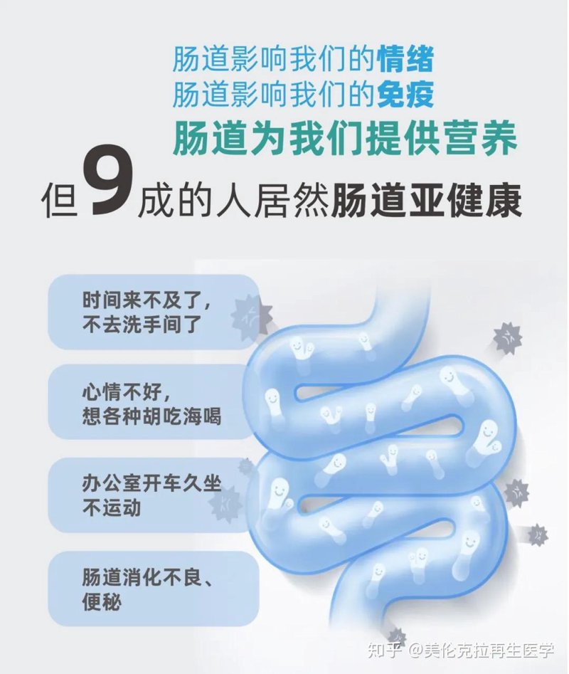 什么是免疫调节？——从“免疫调节英文”看人体的自我保护机制